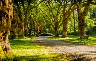Monte Sano State Park